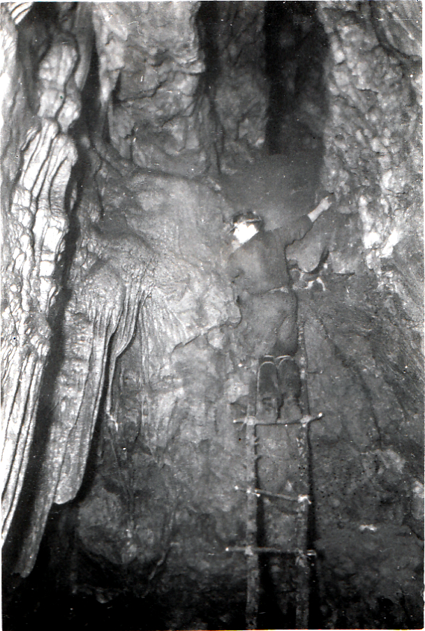 Bob Gillibrand on home-made scaling ladder,Giants Hall,Ingleborough Cave 1956