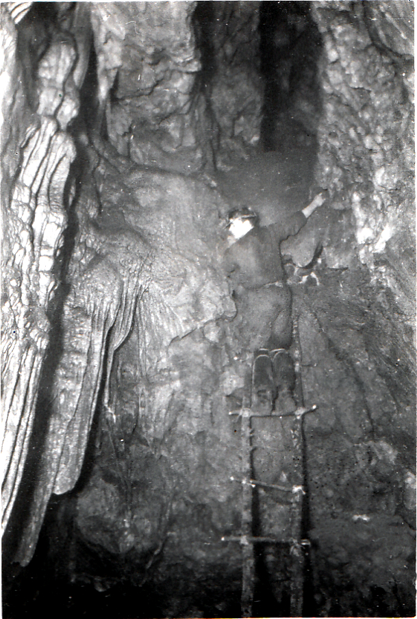 Ingleboro Cave 1956
