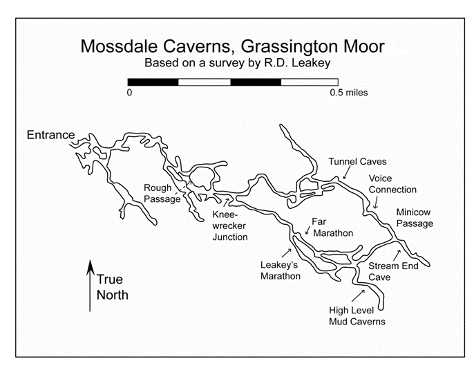 Mossdale Survey
