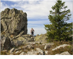 The Harz Mountains