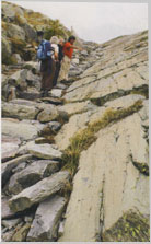 Climbing the slab